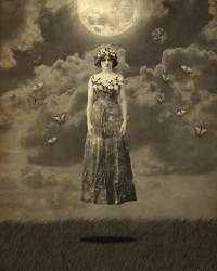 1 Jolene Casko floor 0