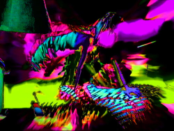 1 MAX CAPACITY 1155 floor 0