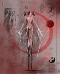 1 Anatomical Study No1 floor 0