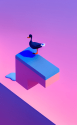 1 FND Collection floor 0