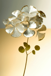 1 Bonne Année 2023 floor 0