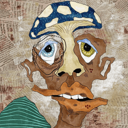 '' A Sunny Day in PMB ''