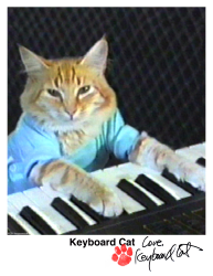 1 Keyboard Cat floor 0.008