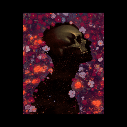 1 FLEETING PLEASURES floor 0.5