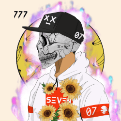 #6616