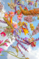 1 Floral Candy floor 0