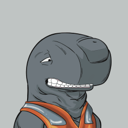 MARCO_COVENANT