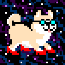 1 SpaceShibas floor 0.00389