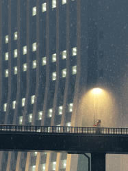 1 SAU Legacy Works floor 0