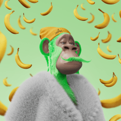 1 HAPE PRIME floor 0.04139