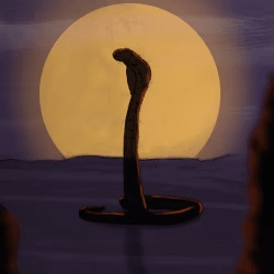 Cobra