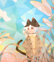 1 ANIFTY Collection (Old) floor 0.004786