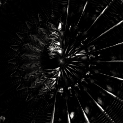 1 RenderJuice | Token of Appreciation floor 0