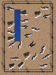 1 raw contract floor 0.0145