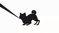 2 ShibaPulls floor 0