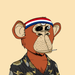 1 Bored Bears floor 0.45