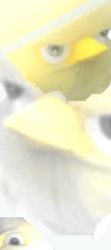 #1023