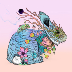 1 Mat Miller Editions floor 0.1