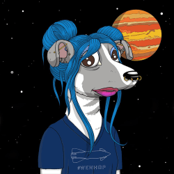 1 Muttniks floor 0.00847