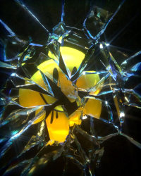 1 Lestron Editions floor 0