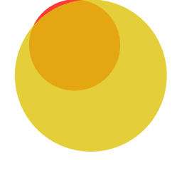 2 5art5rules floor 55.555