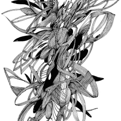 -Spirit, are you my enemy?-