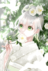 1 Fujika Open Edition floor 0