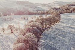 1 Out And About floor 0