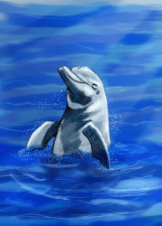 Ocean’s Smile