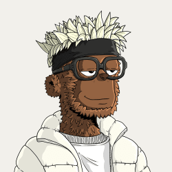 y00ts y00t #11