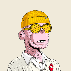 y00ts y00t #3