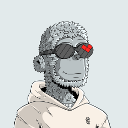 y00ts y00t #2