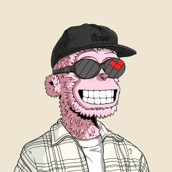 y00ts y00t #8