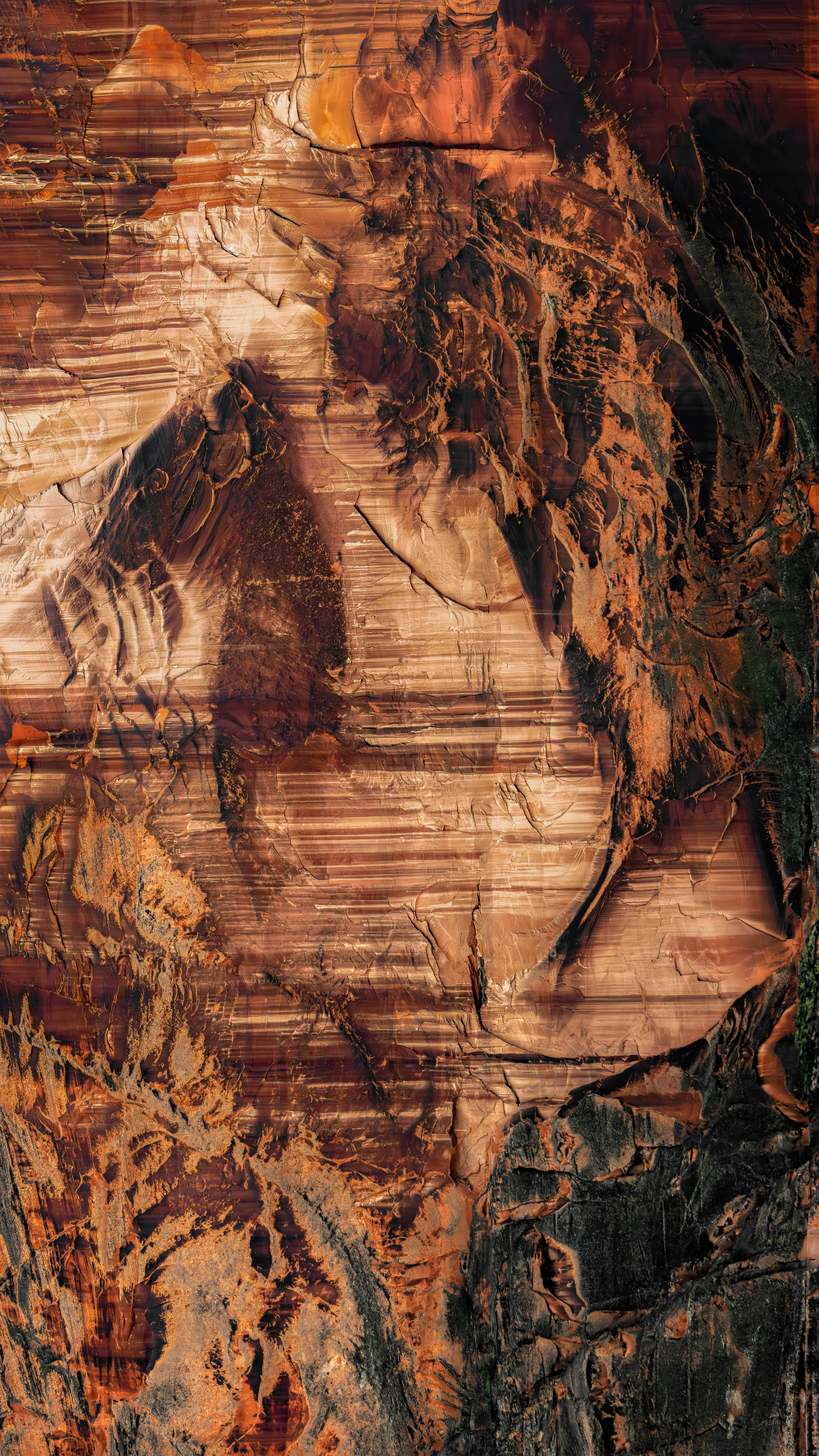 Cryptic Cliffs