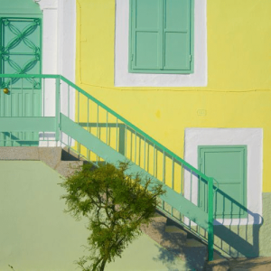 Mint and Lemon Dream