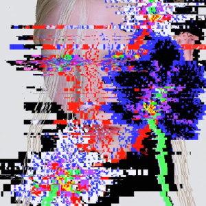 Faces in Flux