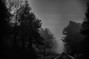 The Way of the Night