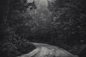 Smell of the Forest