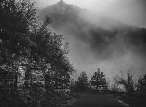 Foggy Road