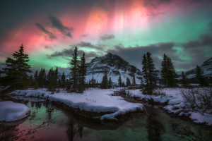 Silent Reign