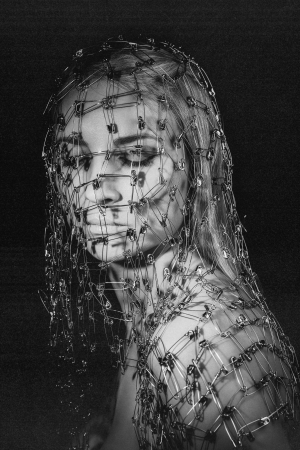 The Mesh