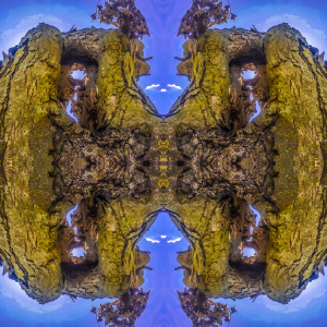 CΞNTERΞD