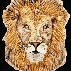 Lion oh Judah