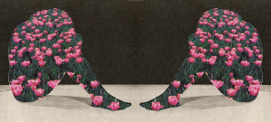 Gemini Twins