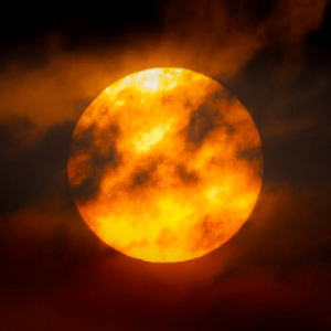 Surya