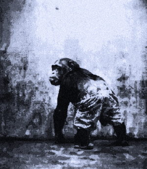 The Patient Monke Awaiting Its Master