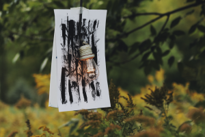 _shine
