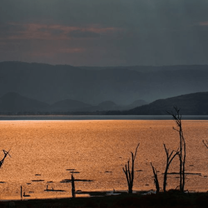 Lake Nakuru