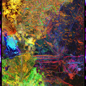Otherness: World 15