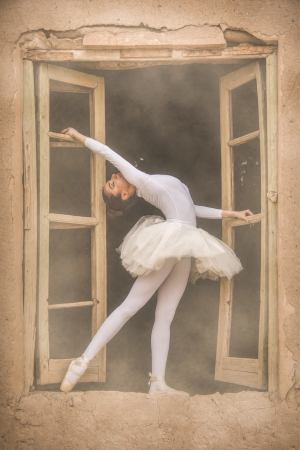Rebirth 12